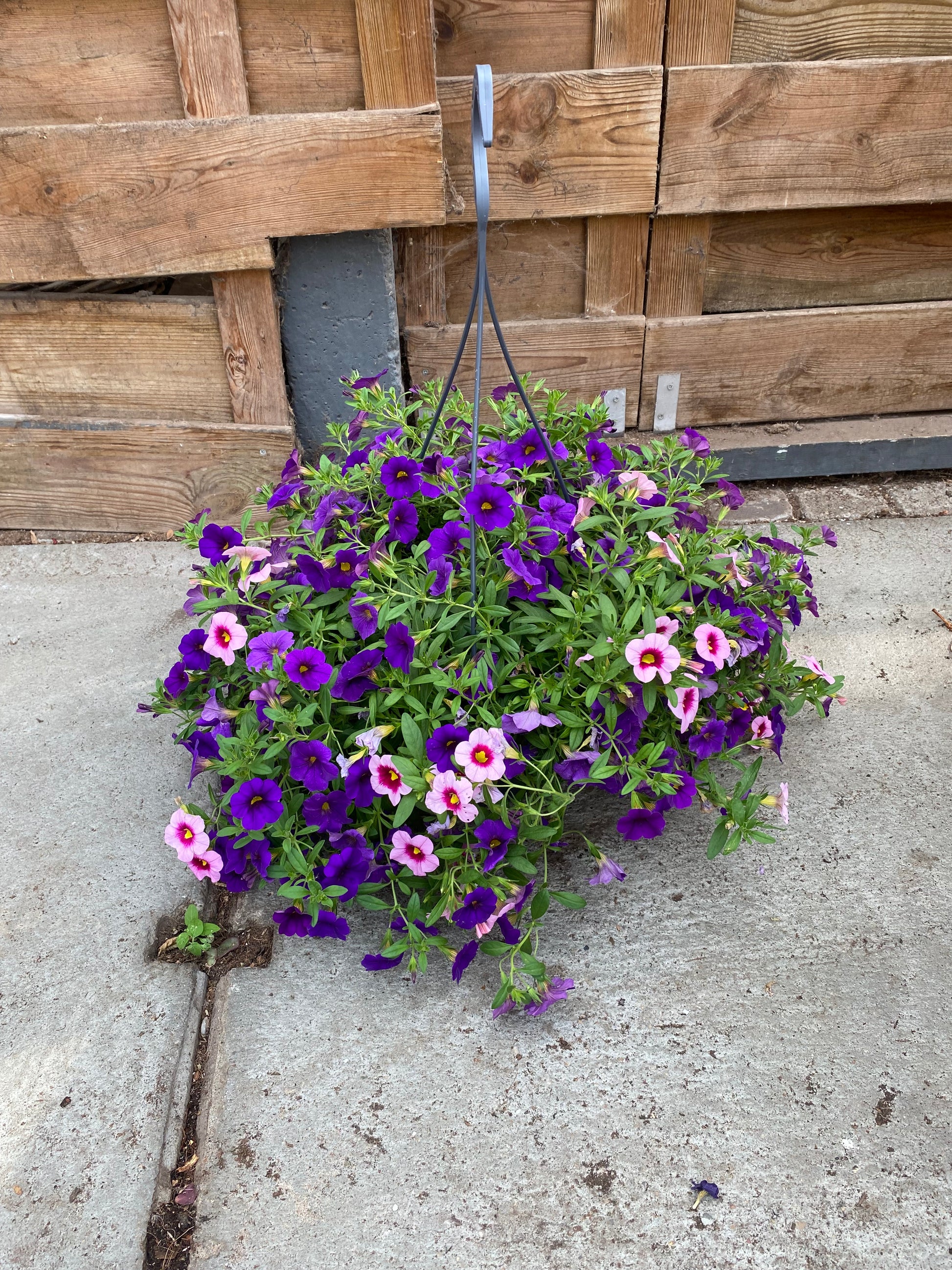 Hangpot
