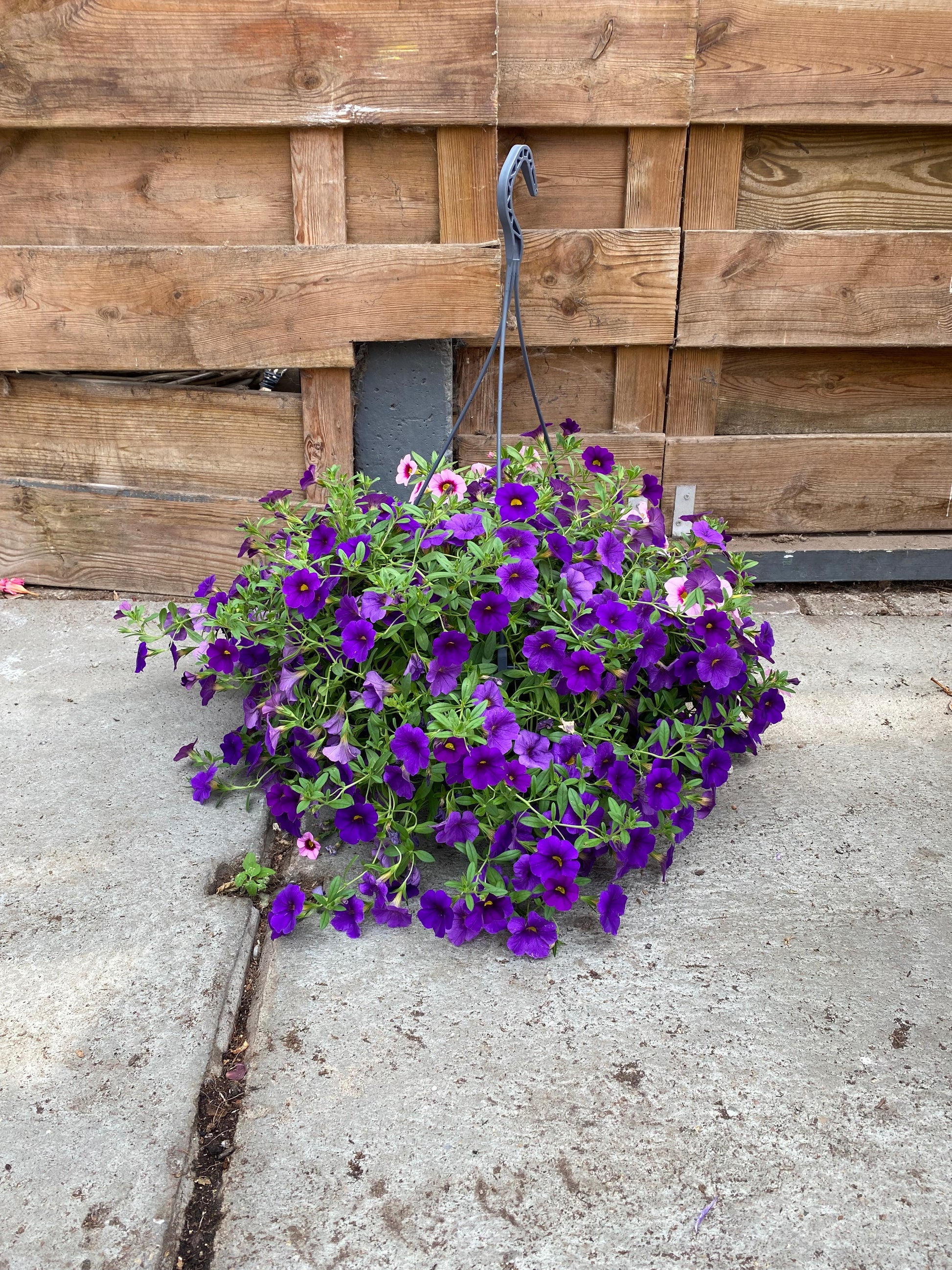 Hangpot
