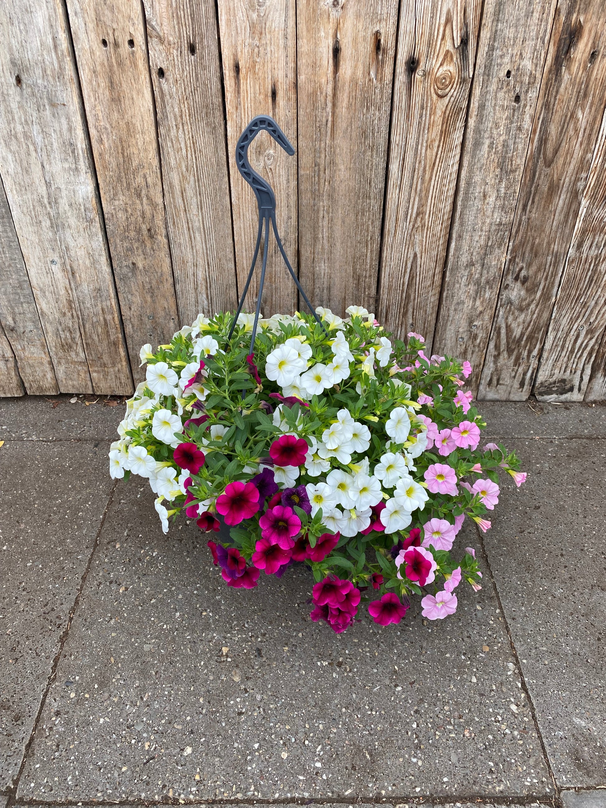 Hangpot