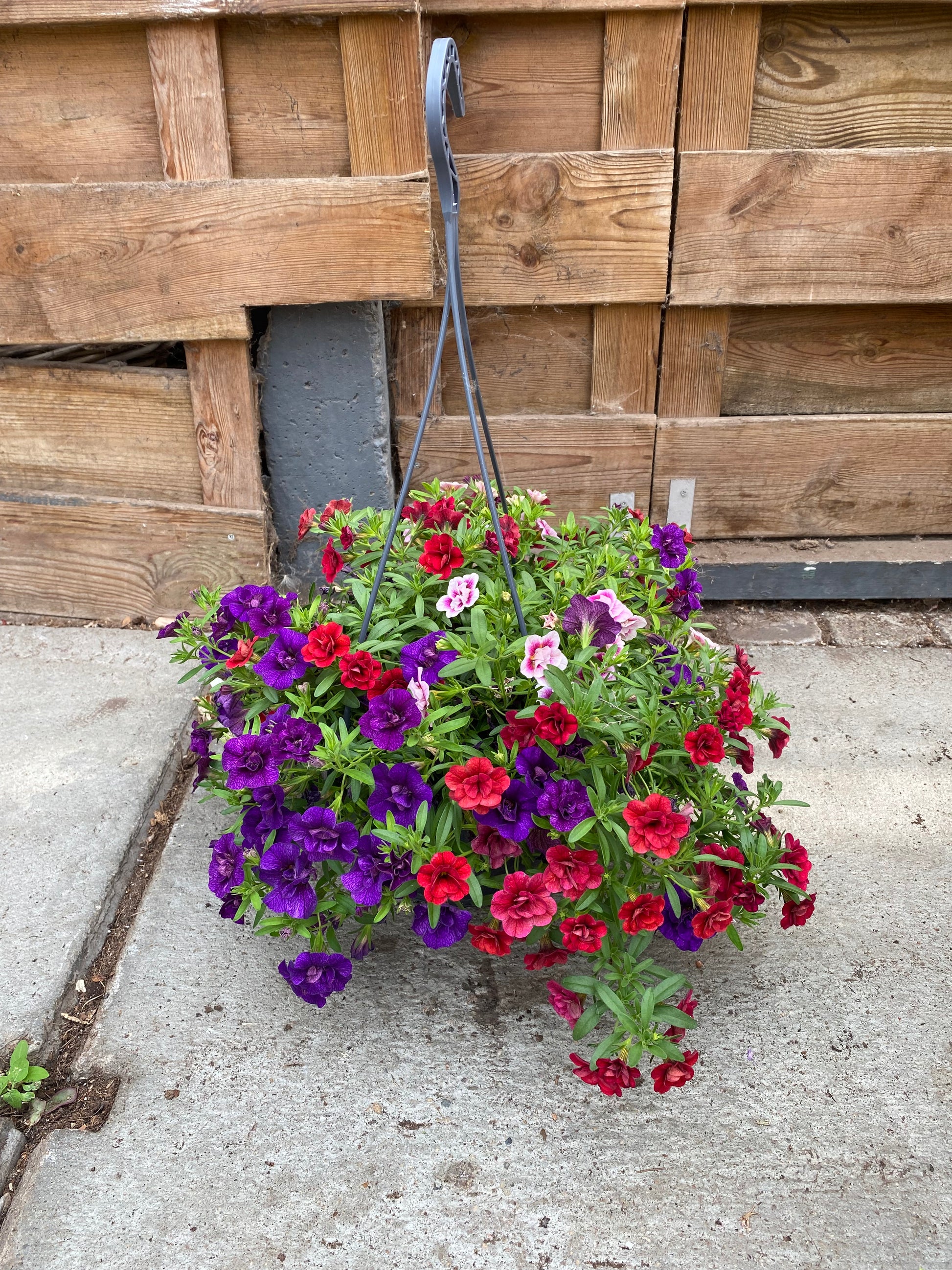 Hangpot
