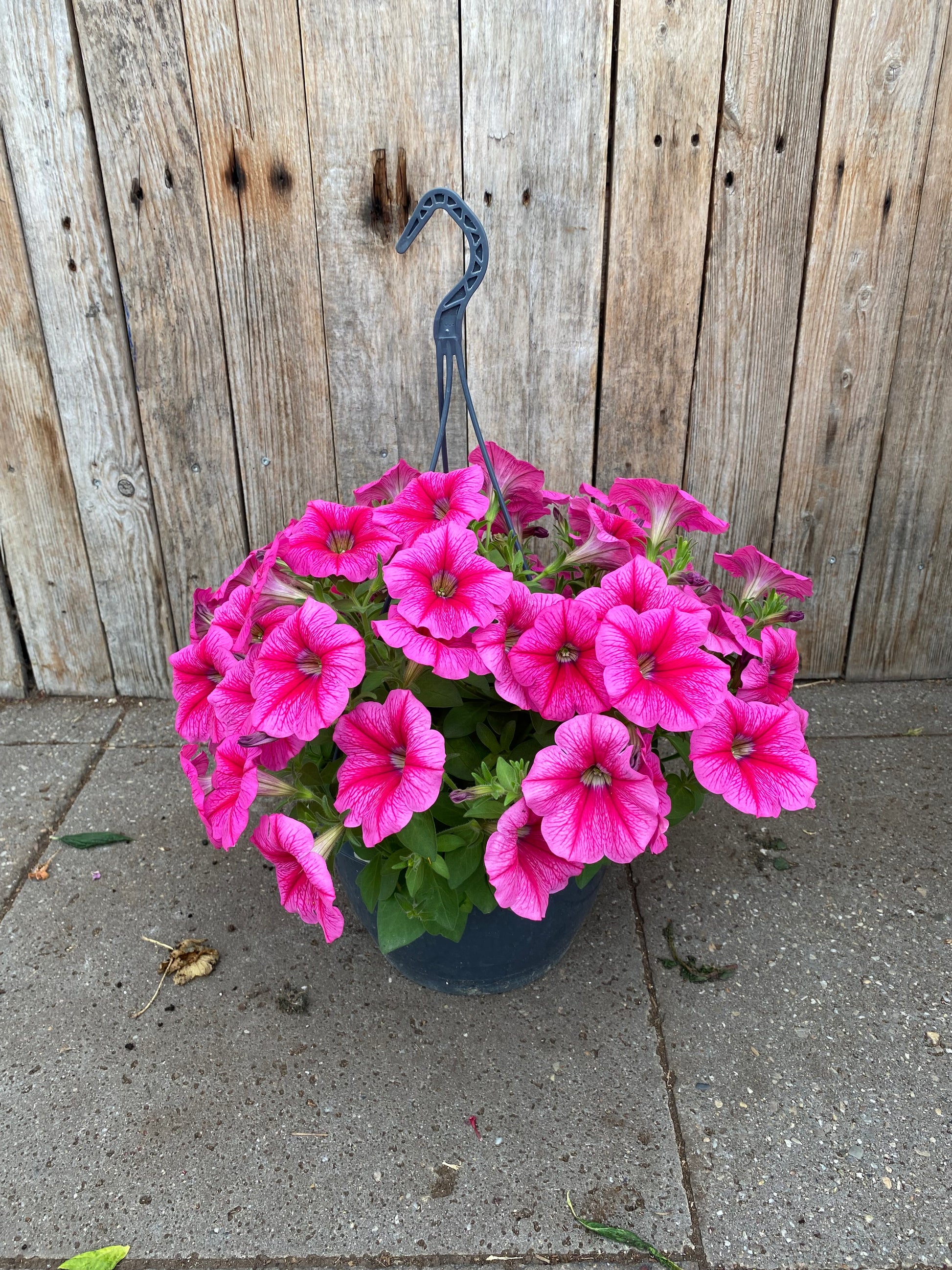 Hangpot