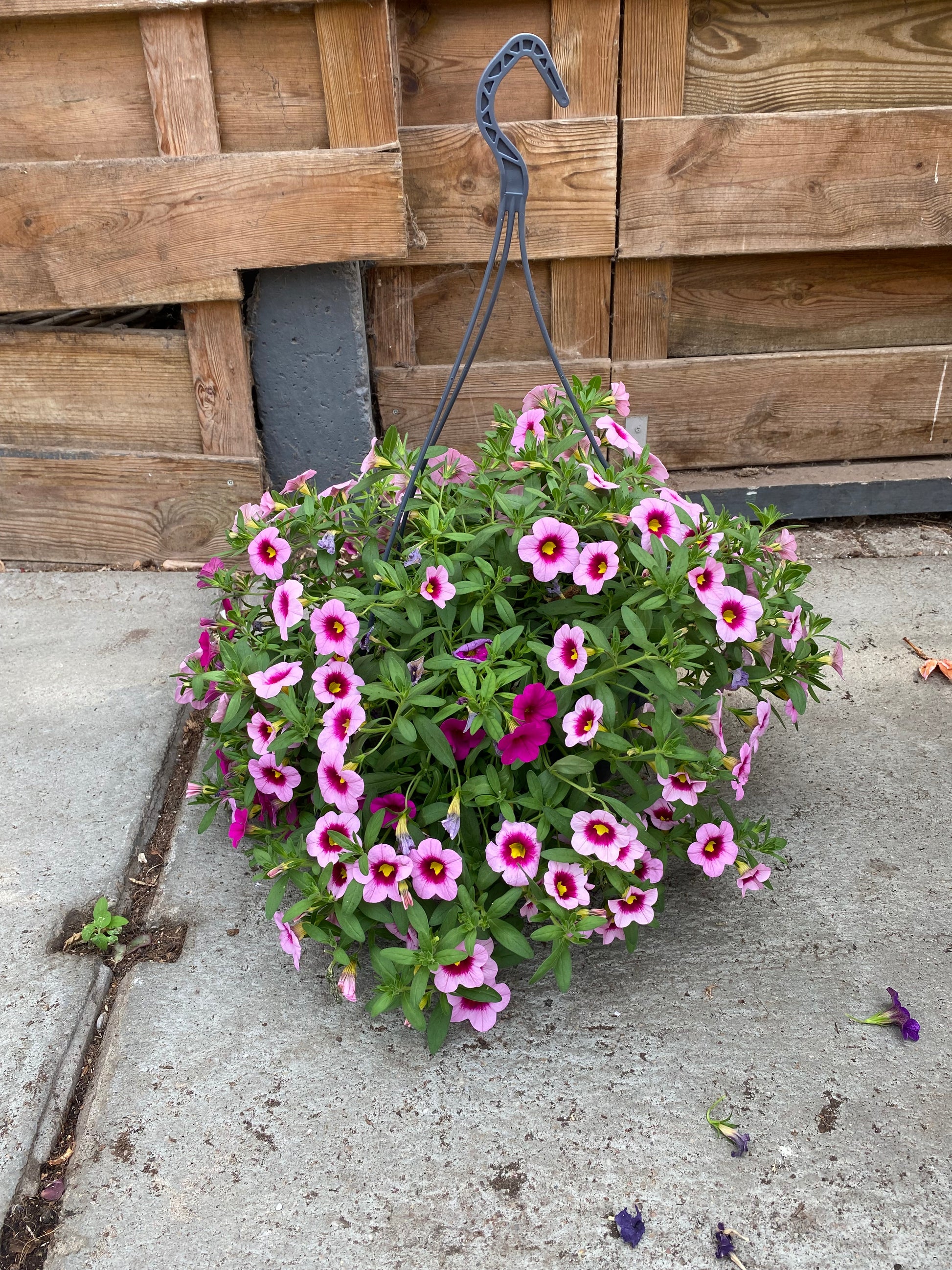 Hangpot