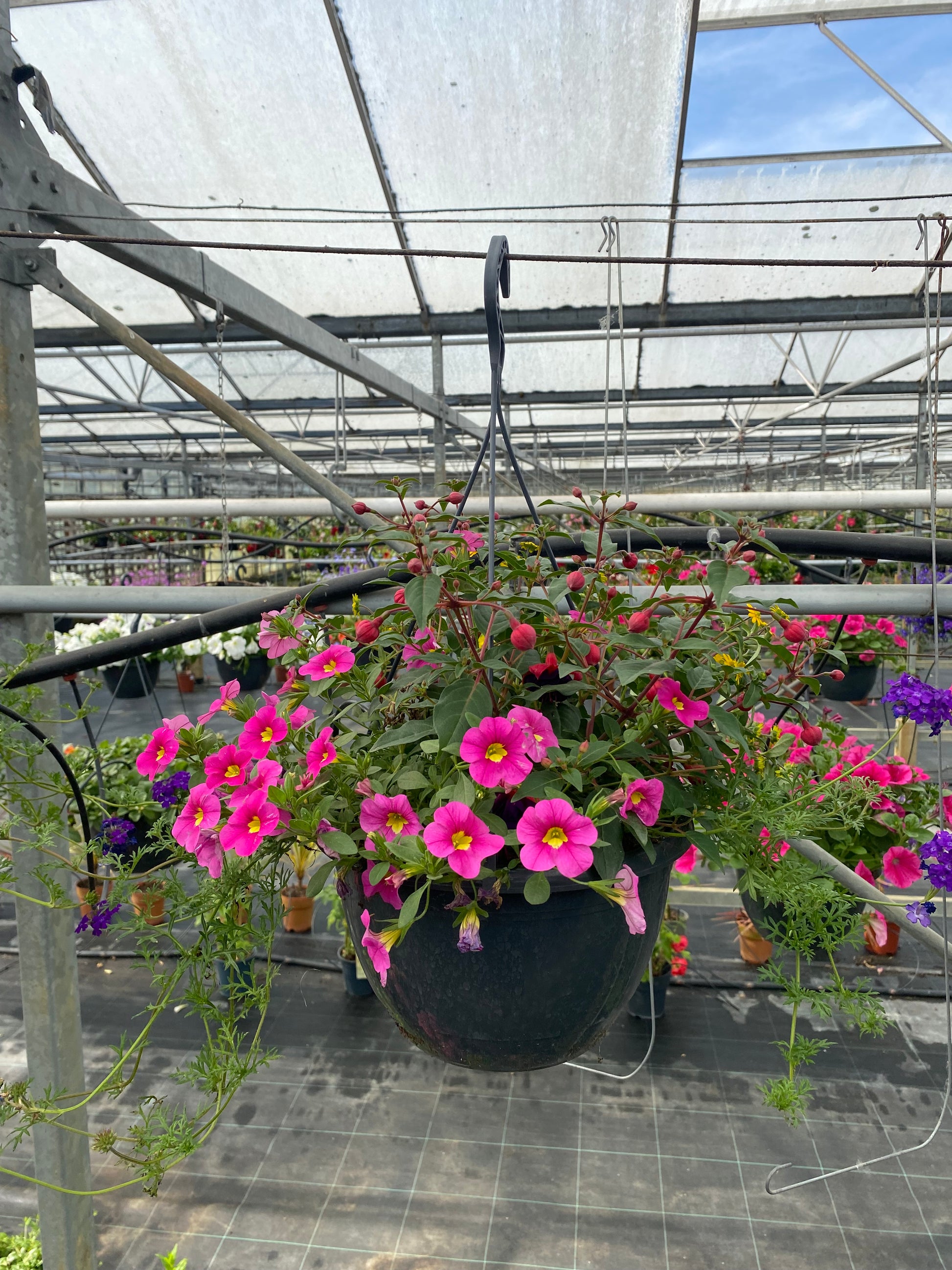 Hangpot