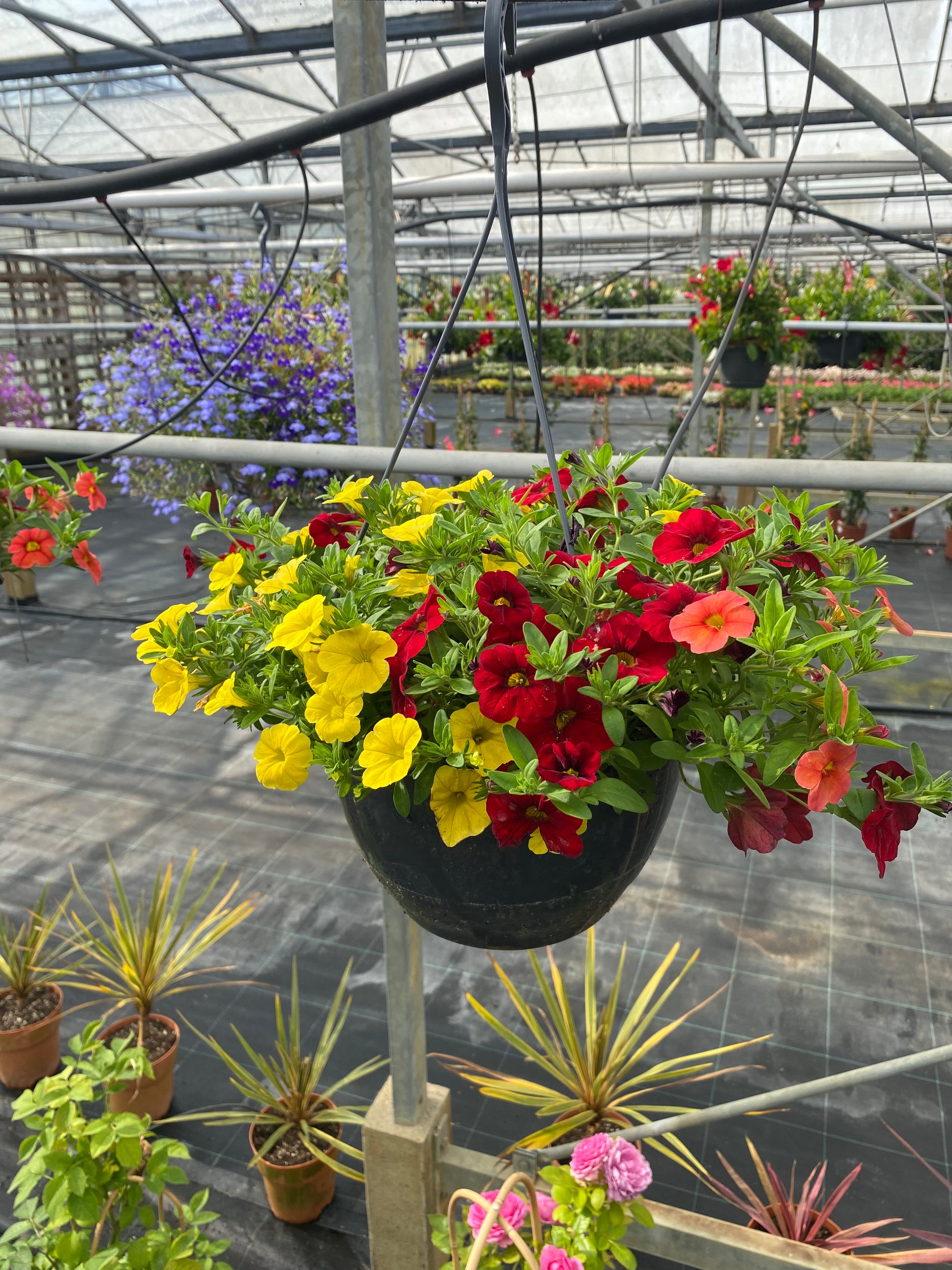 Hangpot